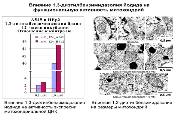 photo-stellanin-effect-sintez-kollagena.jpg