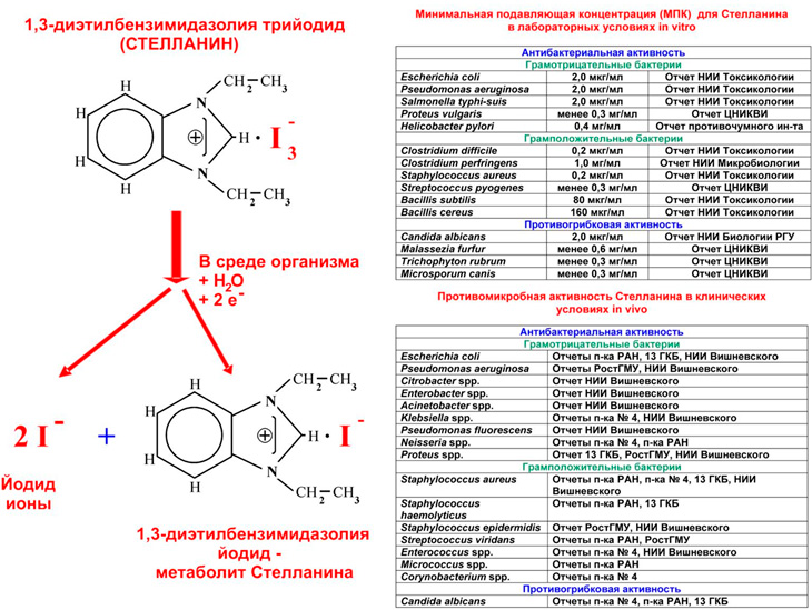 photo-stellanin-effect-antibacterialnii.jpg